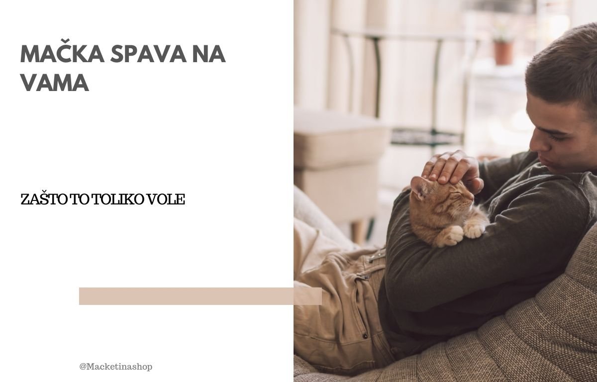 mačka spava na vama