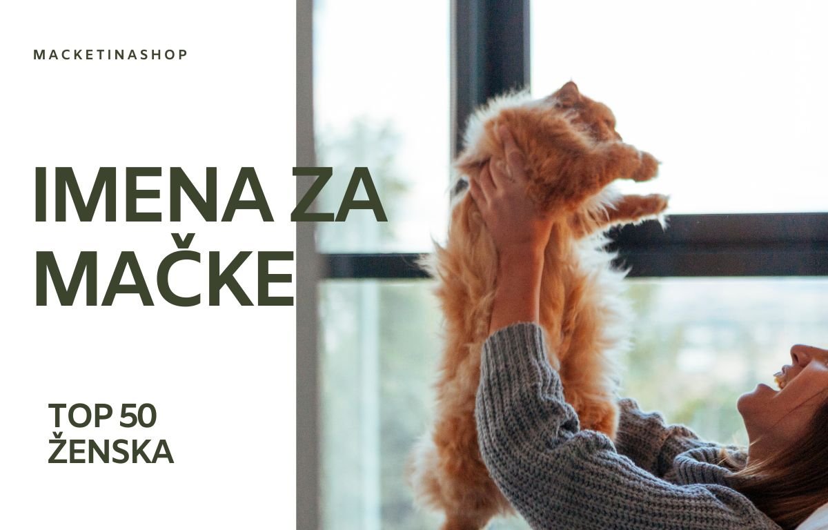 imena za macke