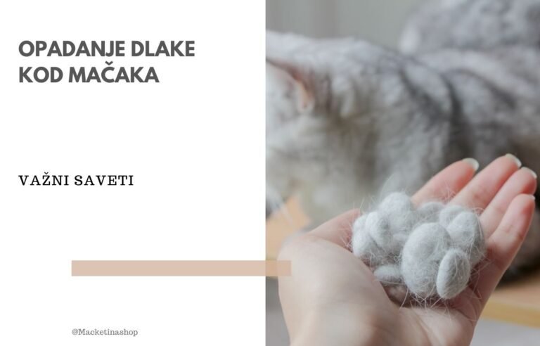 opadanje dlake kod mačaka