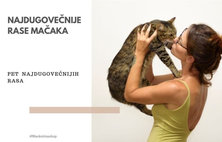 najdugovečnije rase mačaka