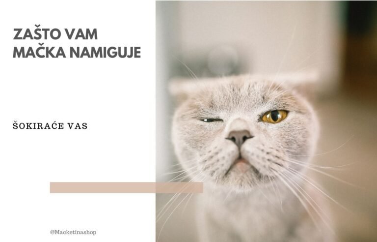 zašto vam mačka namiguje