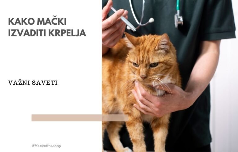 kako mački izvaditi krpelja