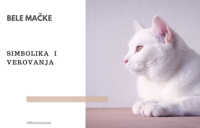 bele mačke