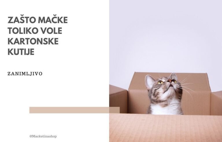 zašto mačke toliko vole kutije