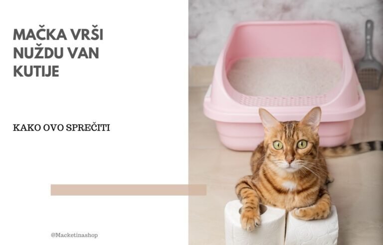 Zašto mačka vrši nuždu van kutije sa peskom