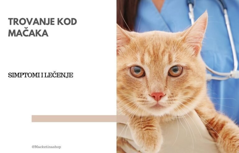 Trovanje kod mačaka