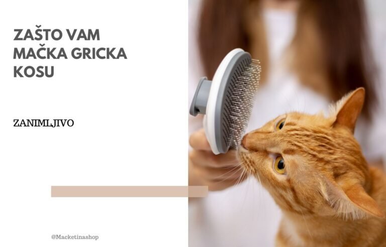 Zašto vam mačka gricka kosu