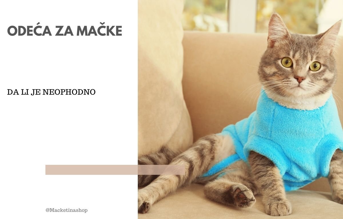 Odeća za mačke