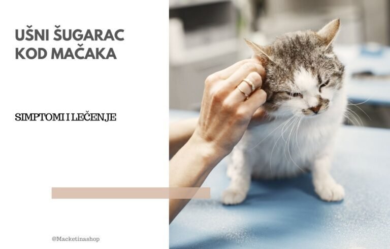 ušni šugarac kod mačaka