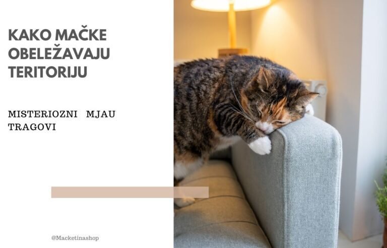 kako mačke obeležavaju teritoriju