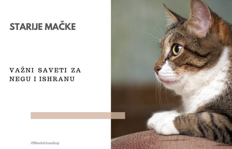 Starije mačke