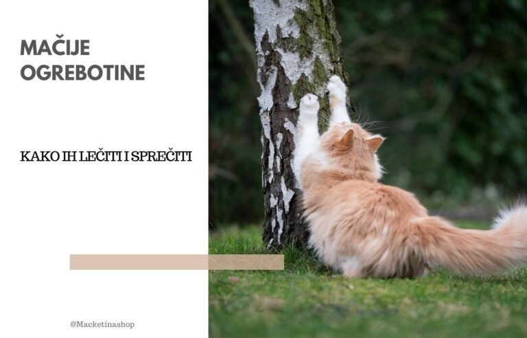 Mačije ogrebotine