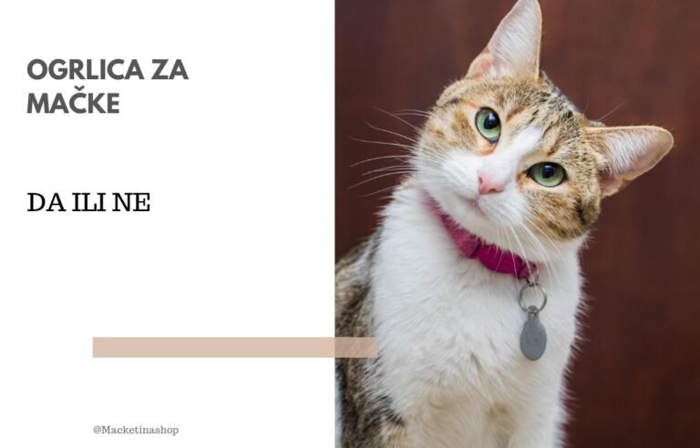 Ogrlice za mačke
