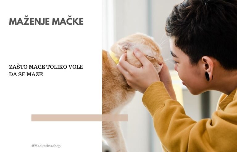 mačke i maženje
