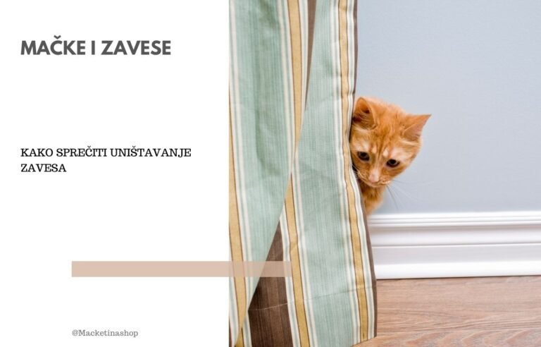 Mačke i zavese