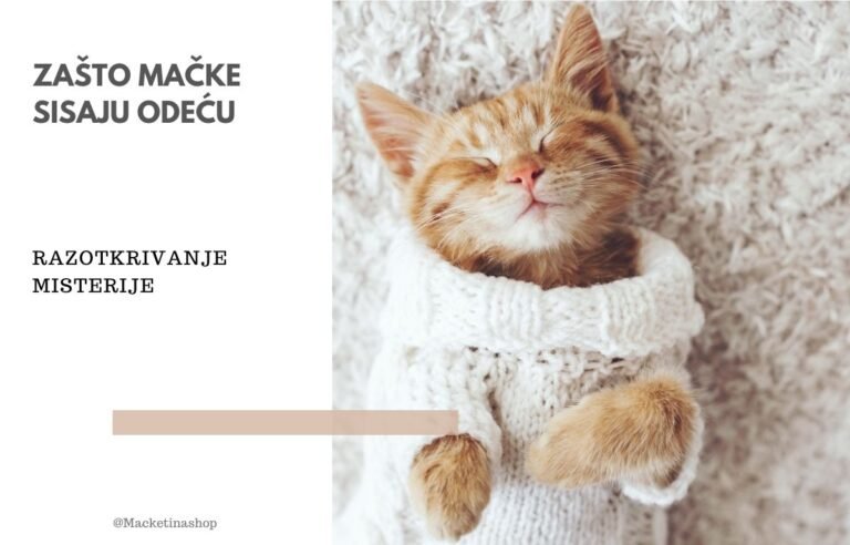 Zašto mačke sisaju odeću