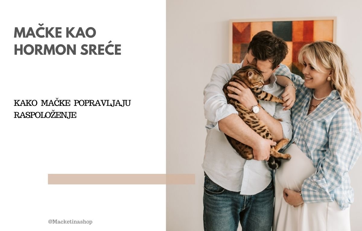 Mačke kao hormon sreće