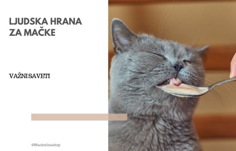 Ljudska hrana za mačke