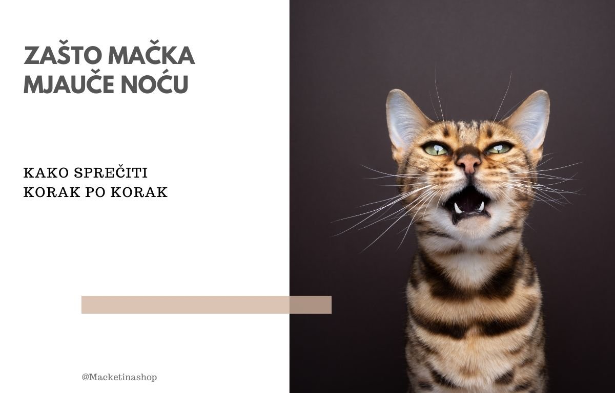 Zašto mačka mjauče noću