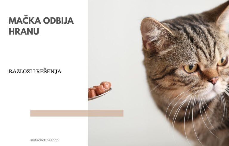 Mačka odbija hranu