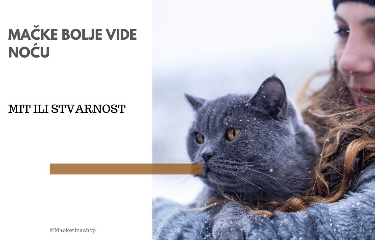 mačke bolje vide noću