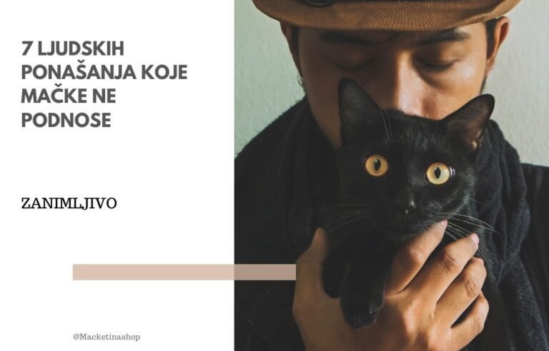 7 Ljudskih ponašanja koje mačke mrze