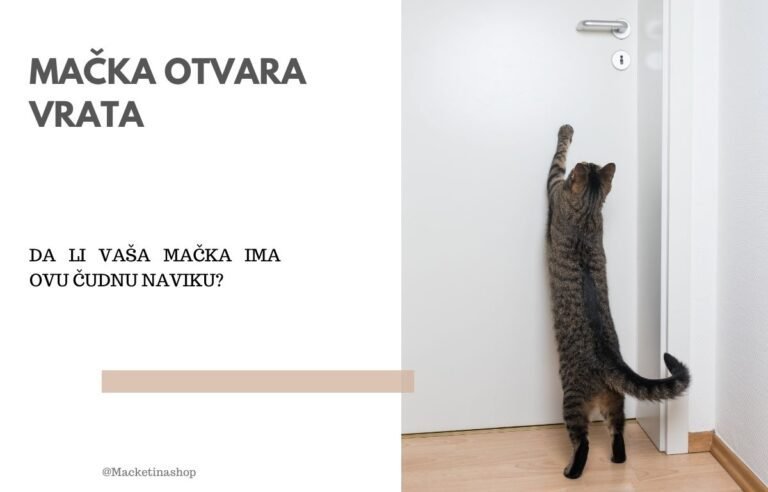 mačka otvara vrata