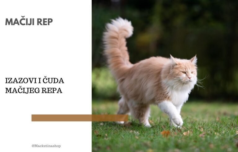 Mačiji rep