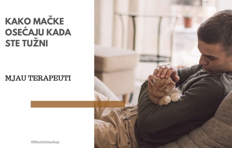 kako mačke osećaju kada ste tužni