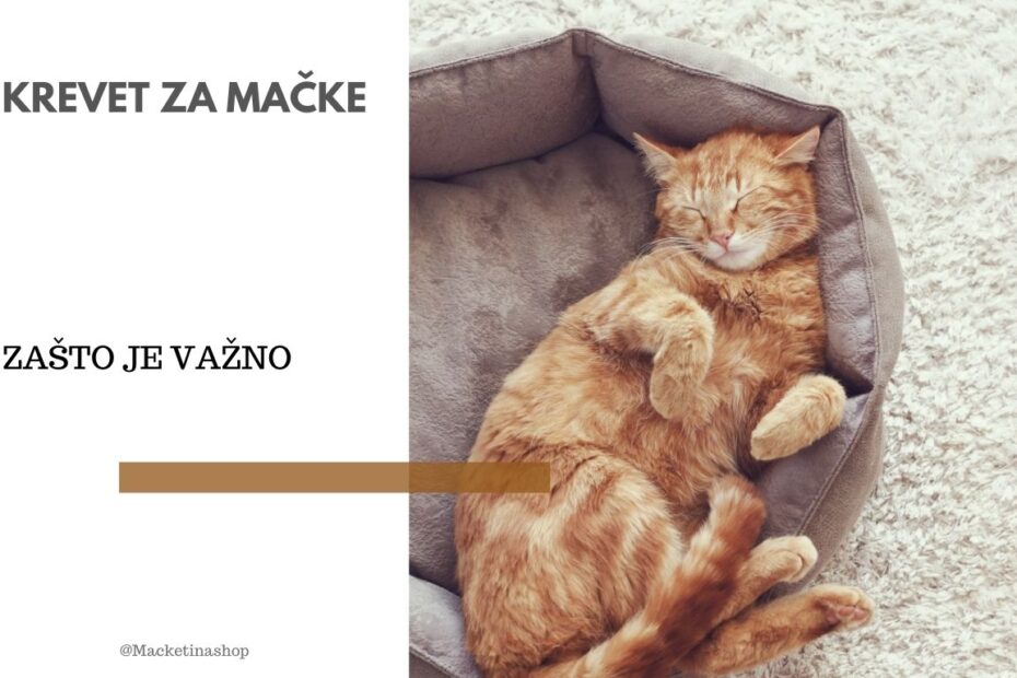 krevet za mačke