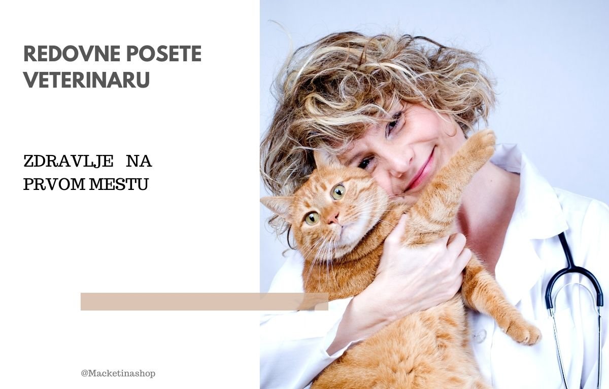 važne redovne posete veterinaru