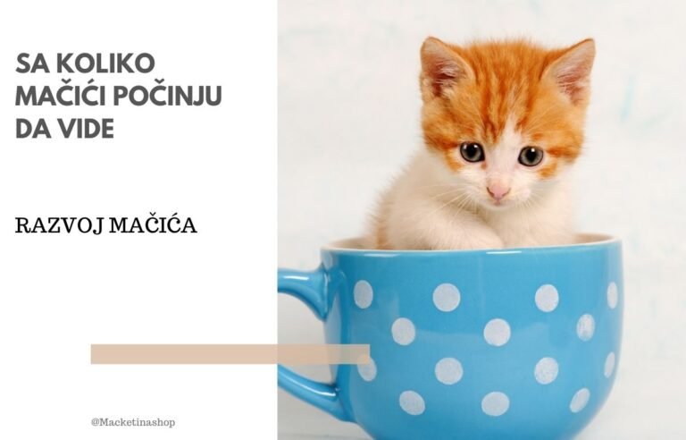 sa koliko dana mačići počinju da vide