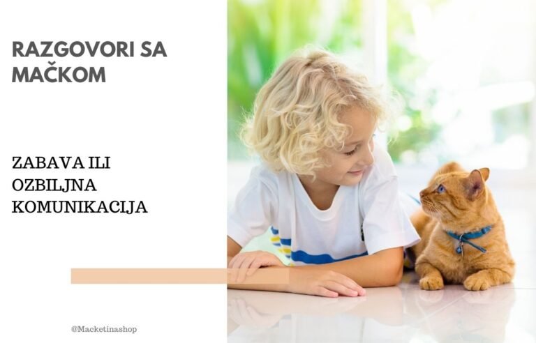 razgovori sa mačkom