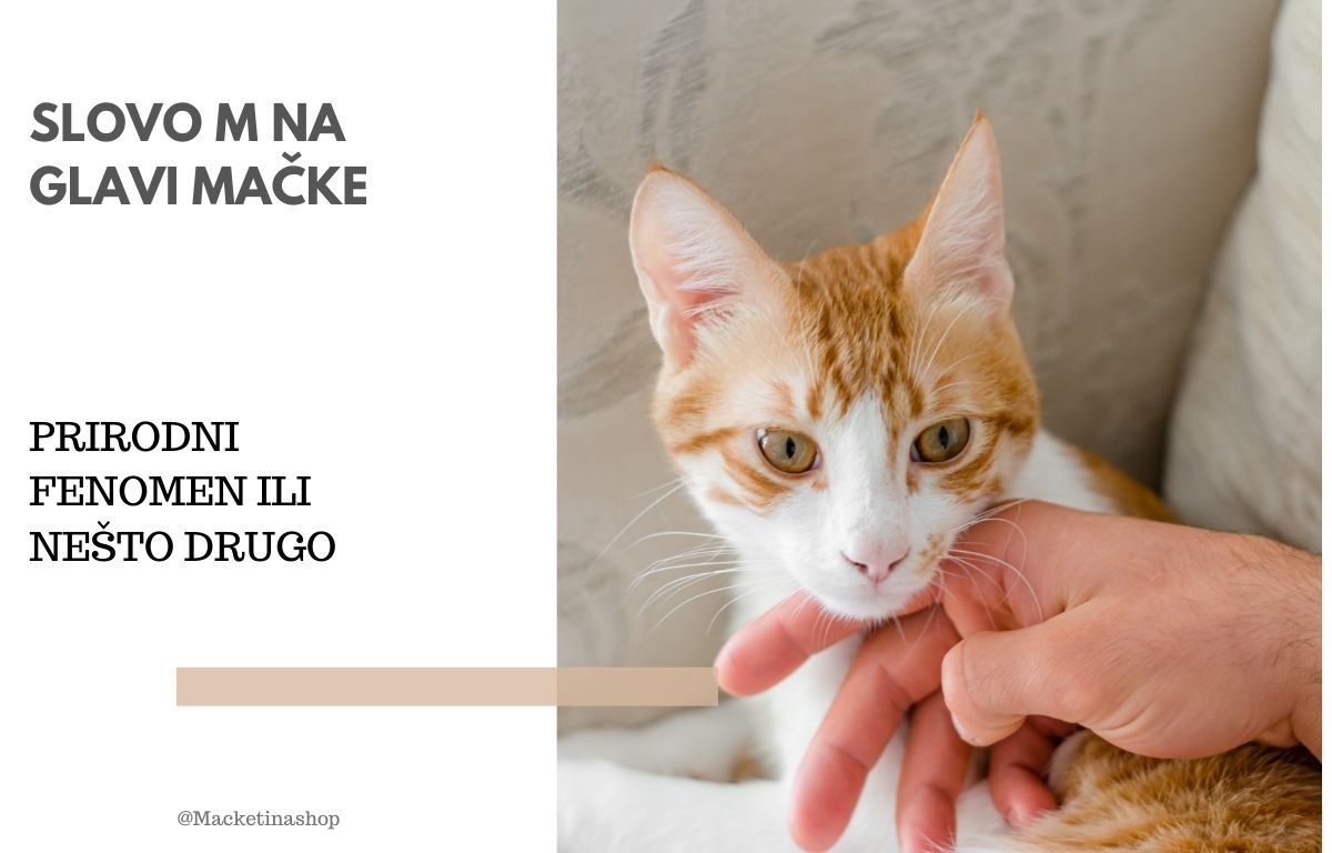 Slovo M na Glavi Mačke