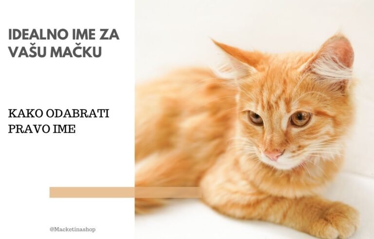 Ime za mačku