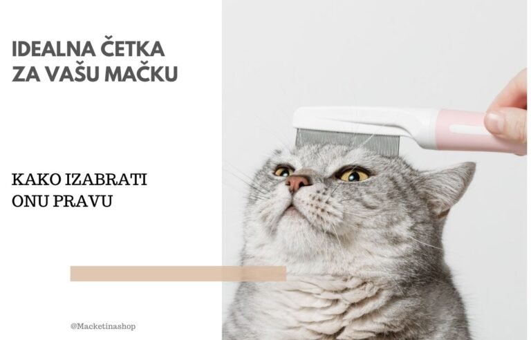 izgleda idealna četka za vašu mačku