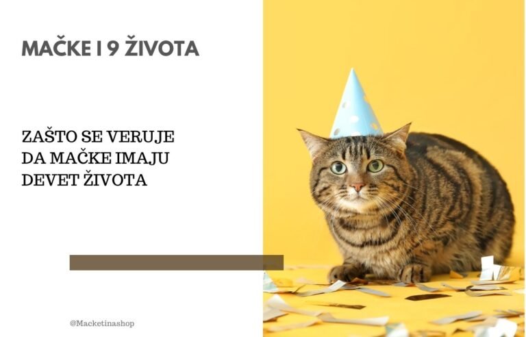 Zašto se veruje da mačke imaju 9 života