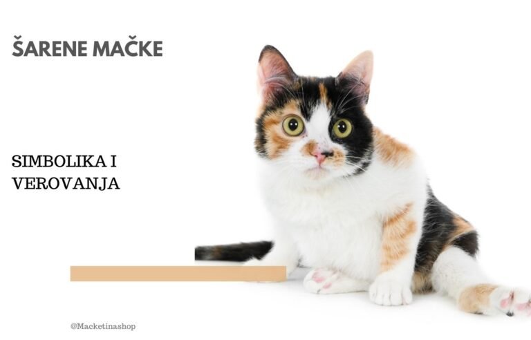 Šarene mačke