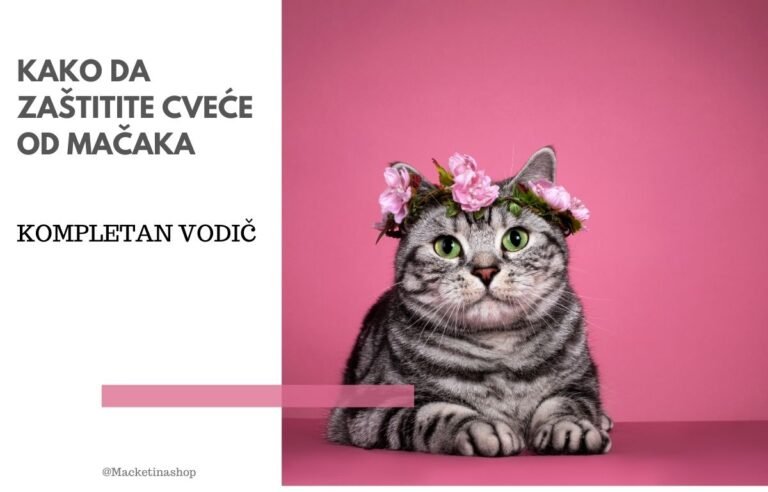 Kako zaštiti cveće od mačaka