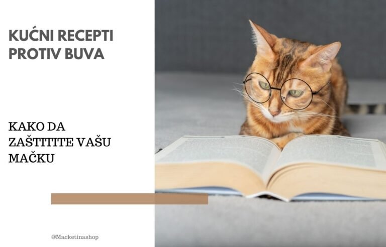 kućni recepti protiv buva