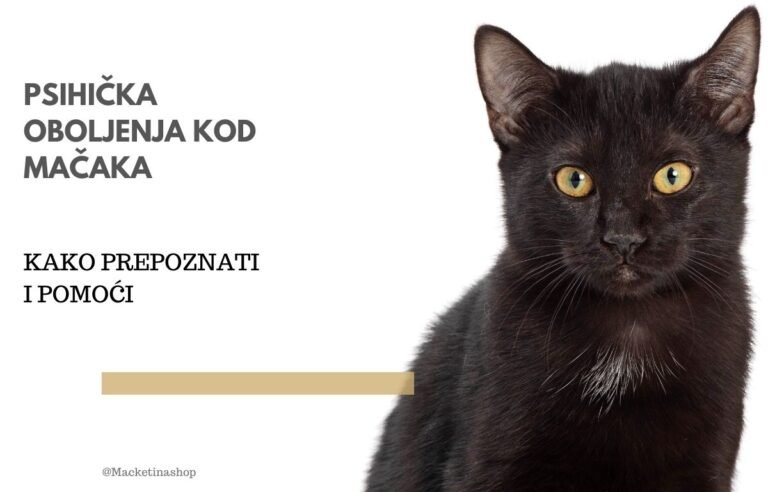 psihička oboljenja kod mačaka