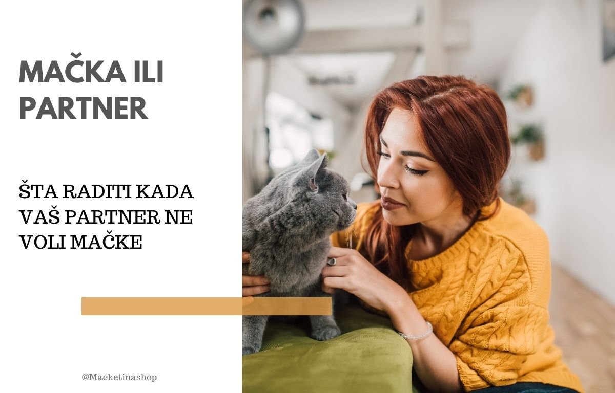 mačka ili partner
