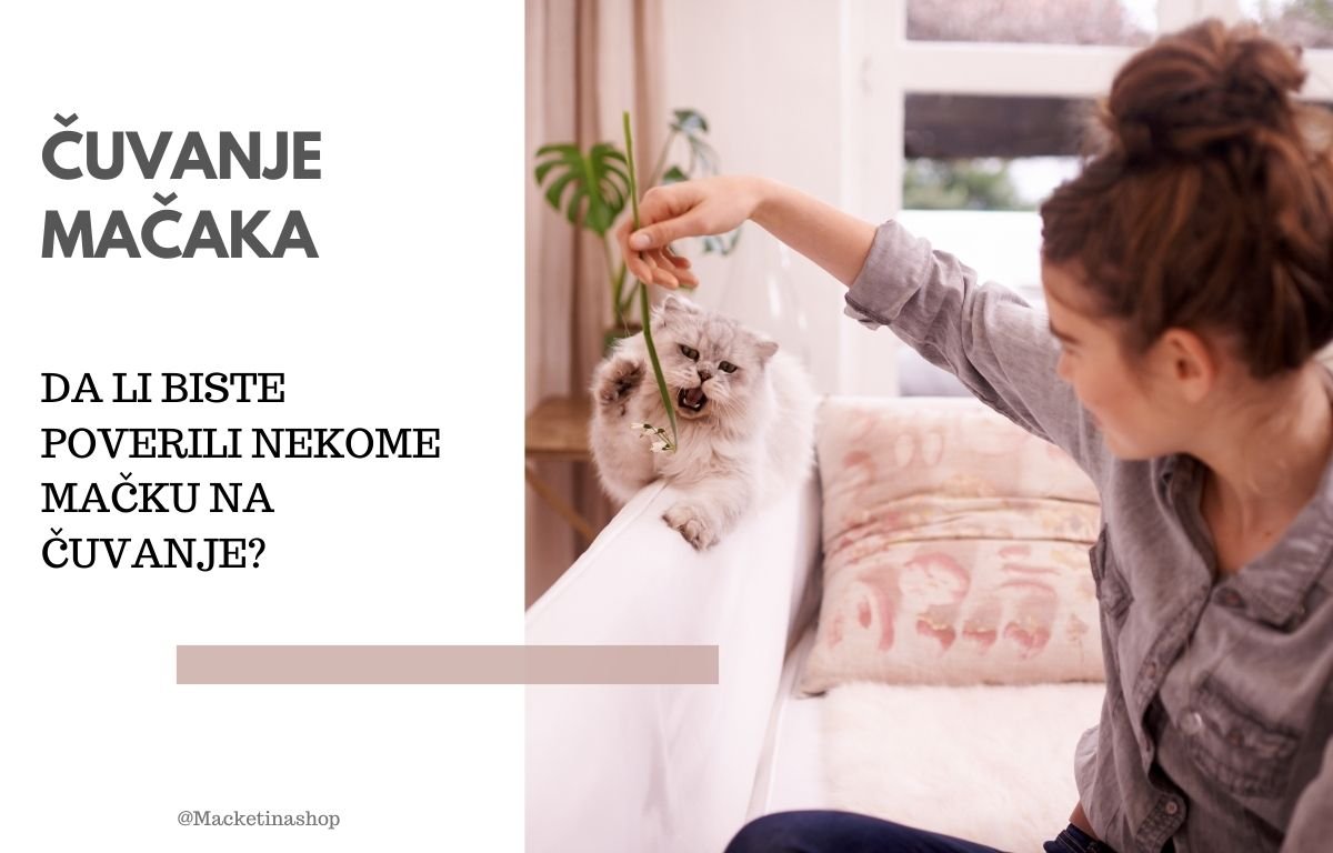 čuvanje mačaka