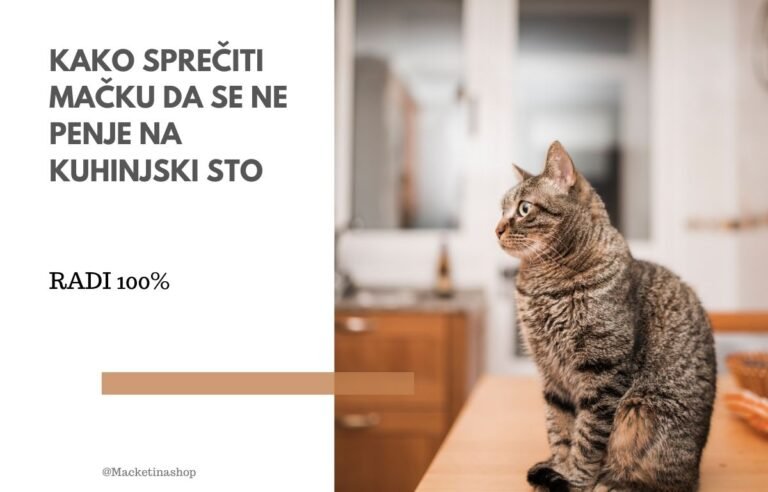kako sprečiti mačku da se penje na kuhinjski sto