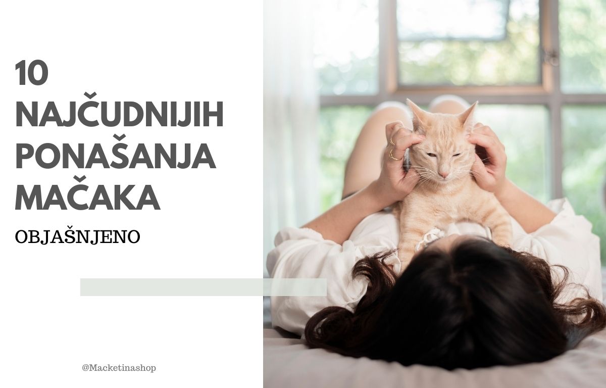 10 Najčudnijih Ponašanja Mačaka – Objašnjeno!