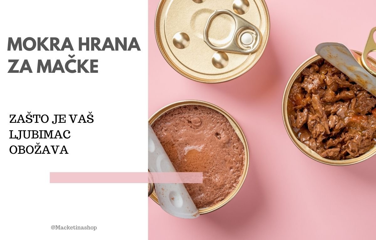 mokra hrana za mačke