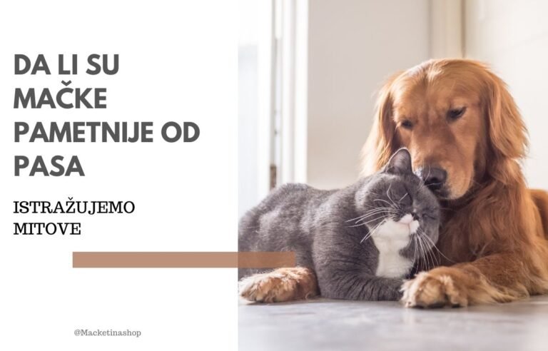 Da li su mačke pametnije od pasa