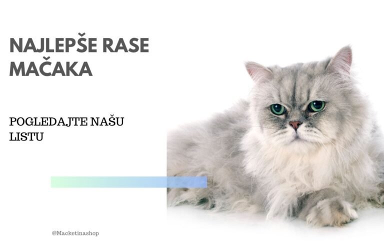 Najlepše Rase Mačaka