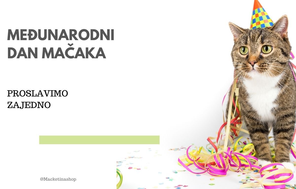 Mađunarodni Dan Mačaka