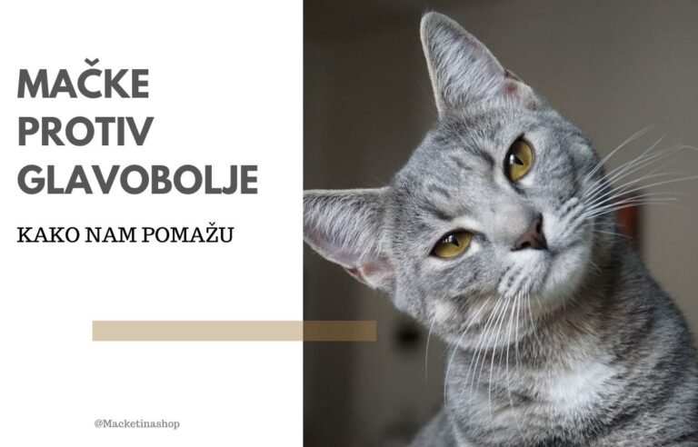 Mačke protiv glavobolje